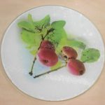 Glass board  SN5291 ~~ SN5299